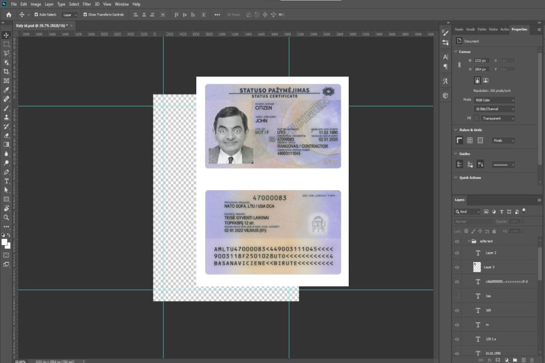 Carte de séjour en Lituanie 2022-présent template Carte de séjour en Lituanie 2022-présent template